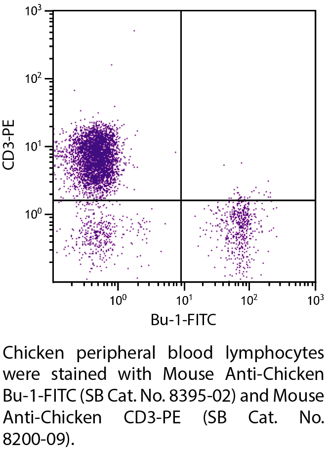 Mouse Anti-Chicken Bu-1-FITC - 0.5 mg