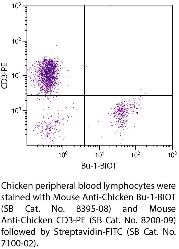 Mouse Anti-Chicken Bu-1-BIOT - 0.5 mg