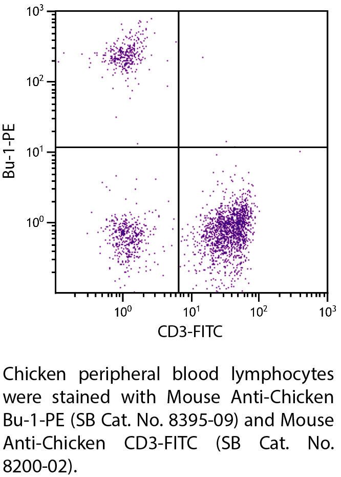 Mouse Anti-Chicken Bu-1-PE - 0.1 mg