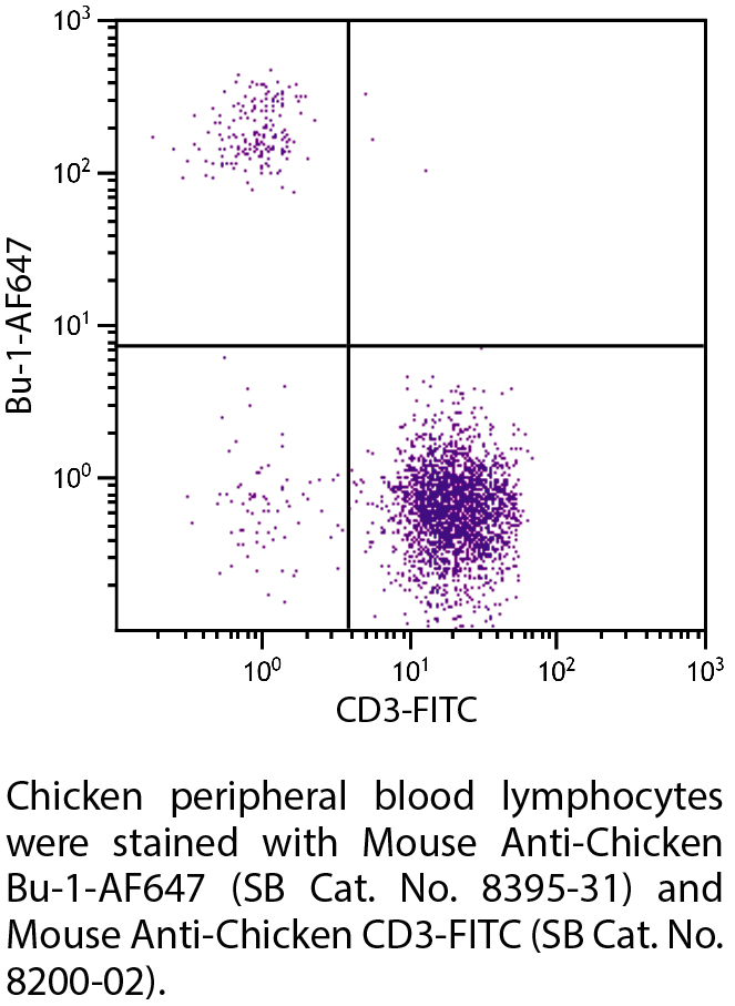 Mouse Anti-Chicken Bu-1-AF647 - 0.1 mg