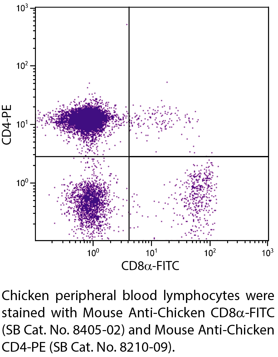 Mouse Anti-Chicken CD8α-FITC - 0.5 mg