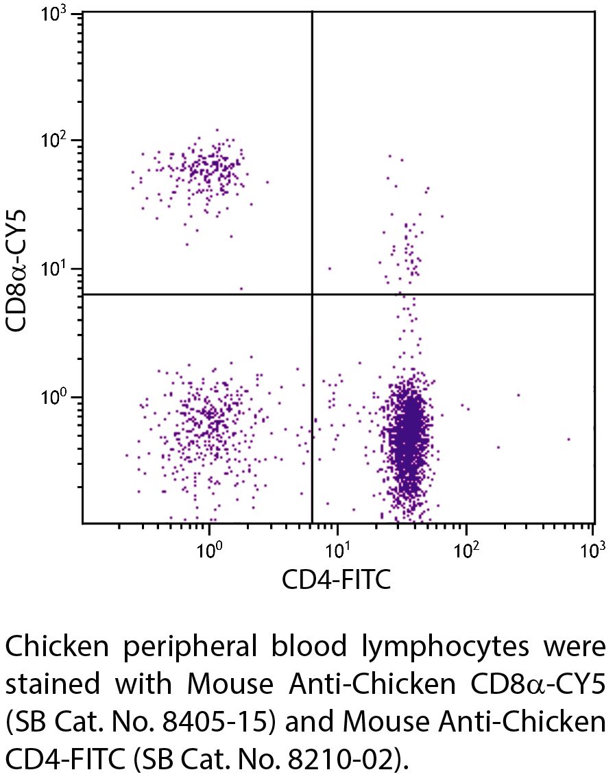 Mouse Anti-Chicken CD8α-CY5 - 0.1 mg