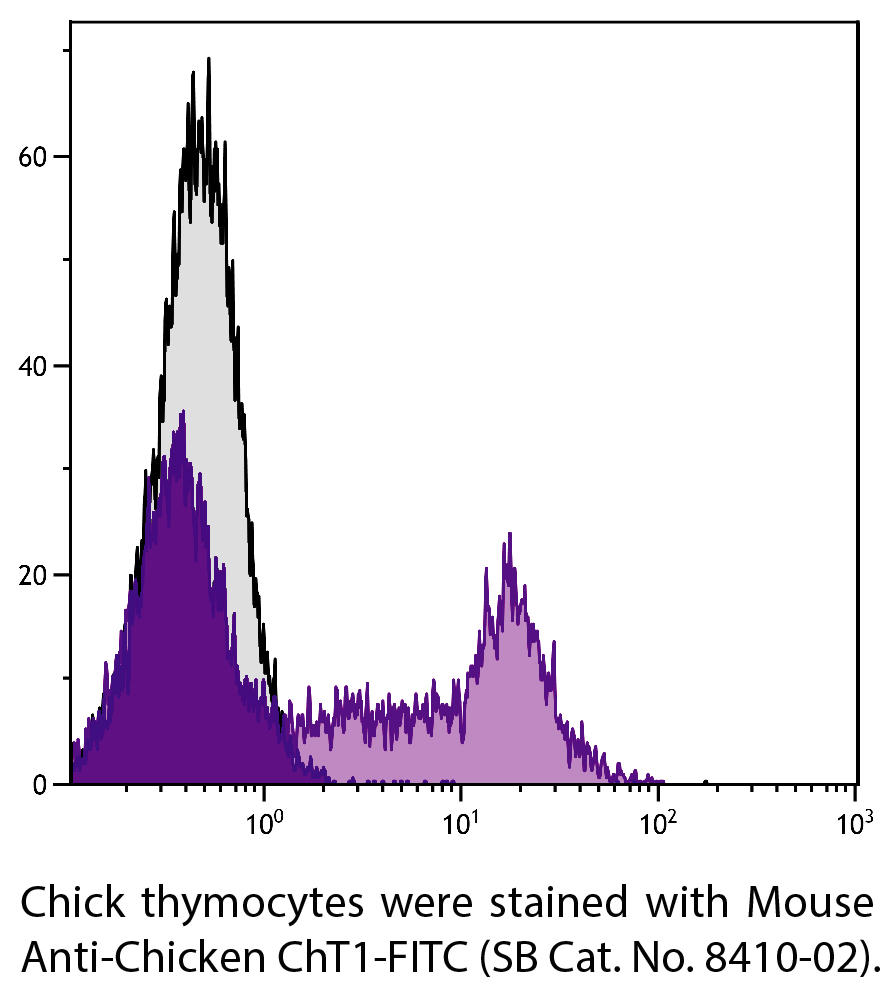 Mouse Anti-Chicken ChT1-FITC - 0.5 mg