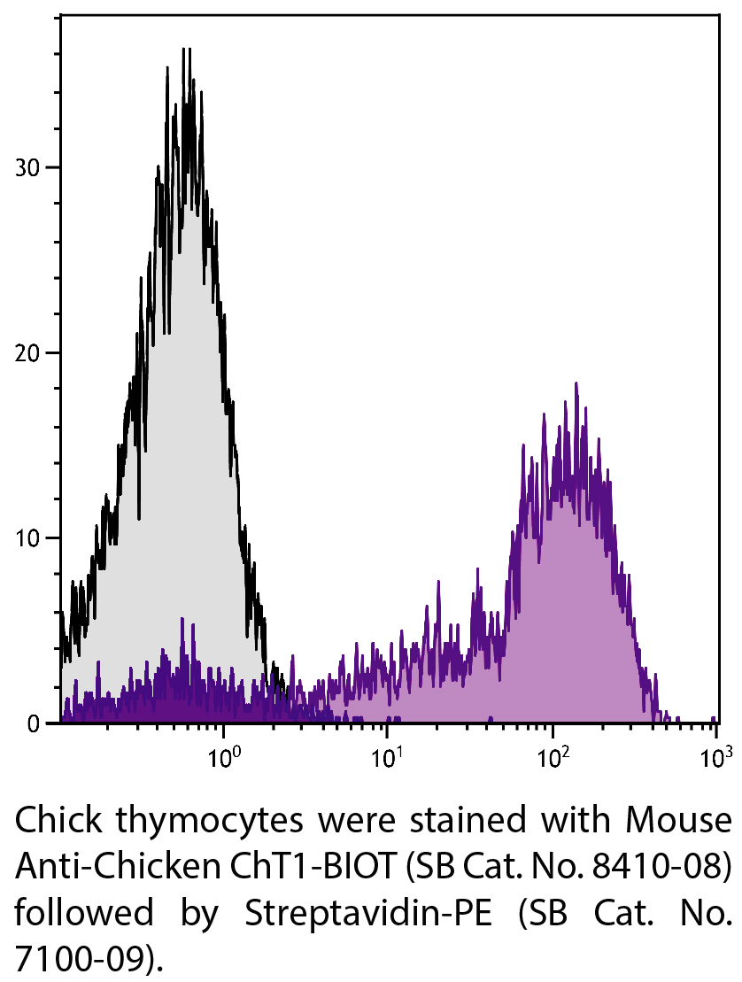 Mouse Anti-Chicken ChT1-BIOT - 0.5 mg