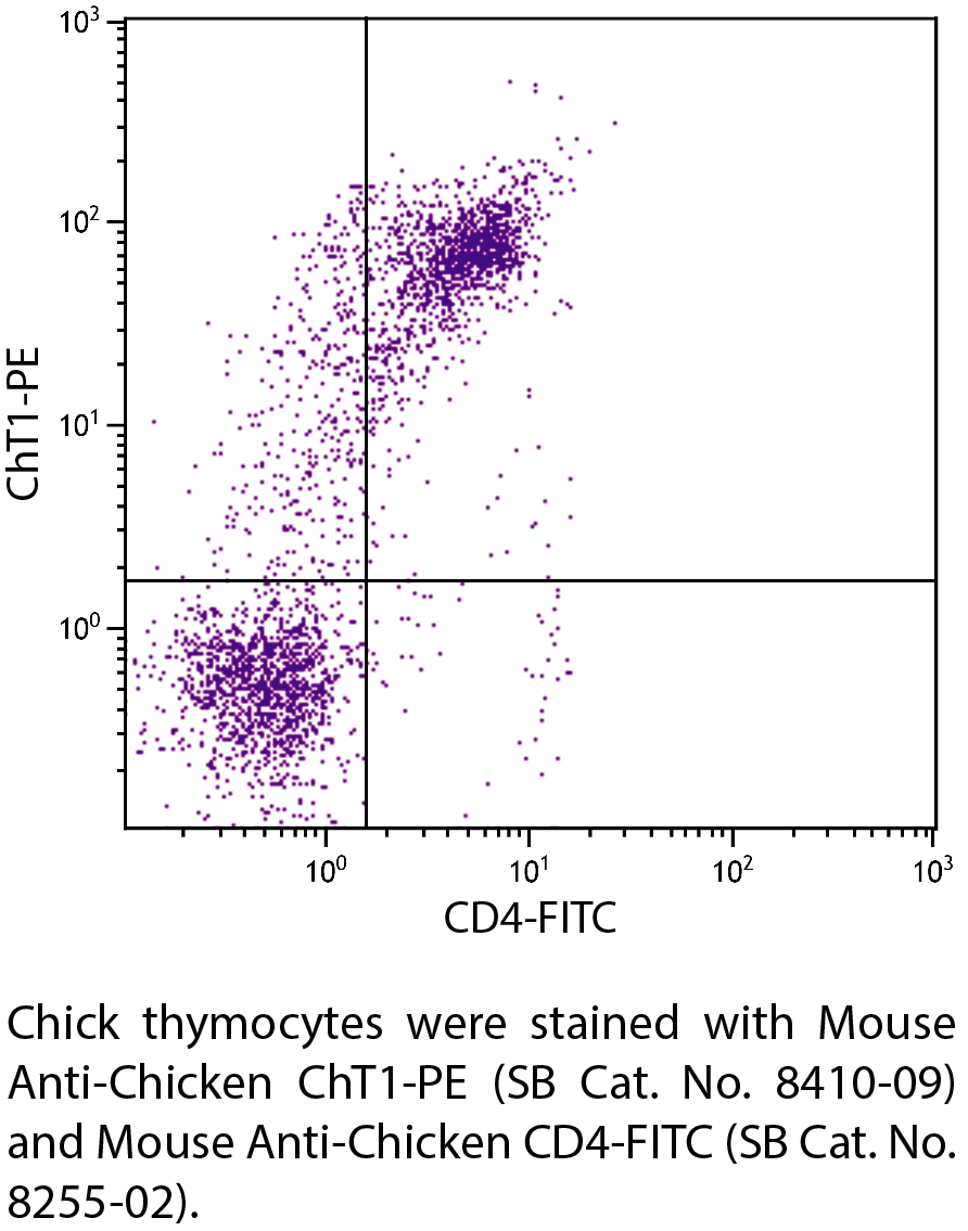 Mouse Anti-Chicken ChT1-PE - 0.1 mg