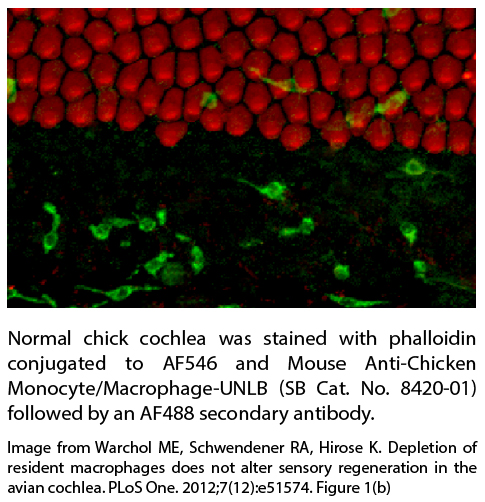 Mouse Anti-Chicken Monocyte/Macrophage-UNLB - 0.5 mg