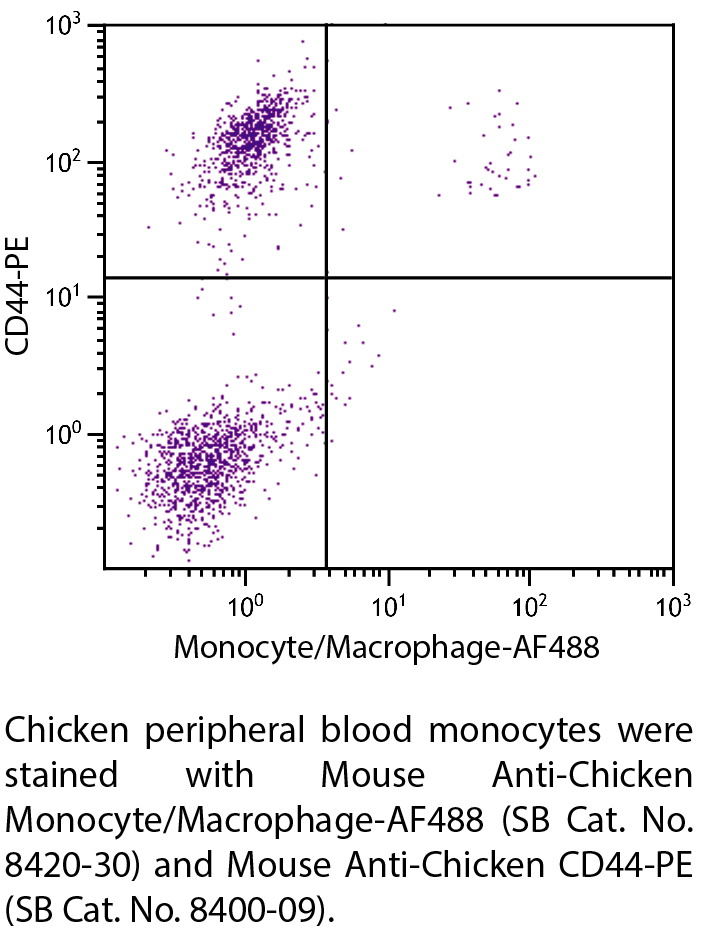 Mouse Anti-Chicken Monocyte/Macrophage-AF488 - 0.1 mg