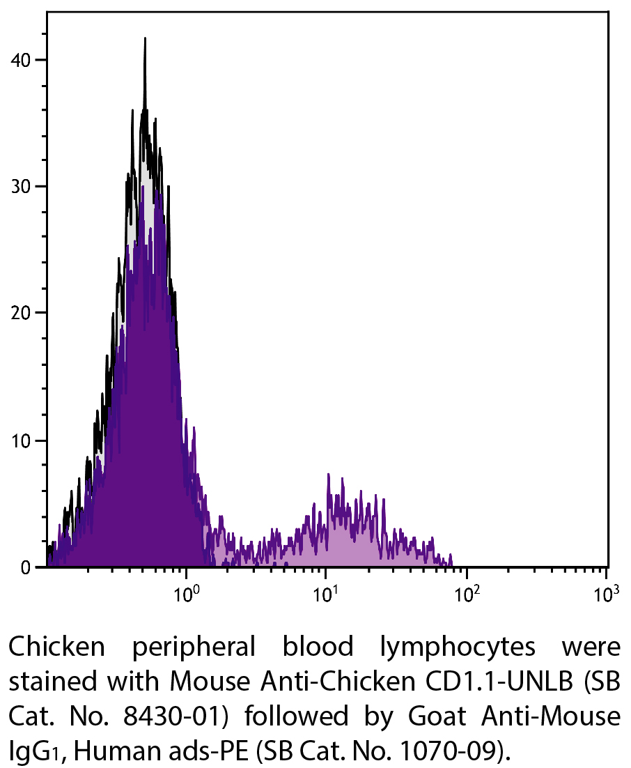 Mouse Anti-Chicken CD1.1-UNLB - 0.5 mg