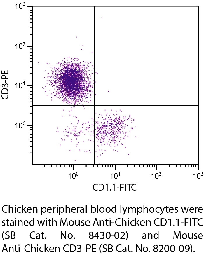Mouse Anti-Chicken CD1.1-FITC - 0.5 mg