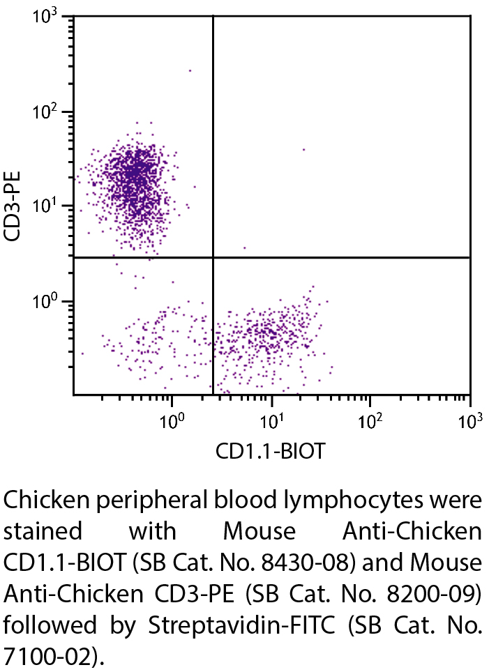 Mouse Anti-Chicken CD1.1-BIOT - 0.5 mg