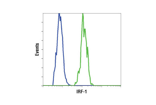 IRF Family Antibody Sampler Kit - 1 Kit