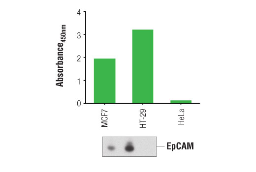 PathScan® Total EpCAM Sandwich ELISA Kit - 1 Kit