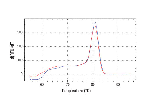 SimpleChIP® Mouse Intracisternal A-Particle (IAP) LTR Primers - 500 ul