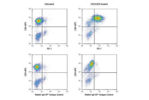 Human T Cell Co-inhibitory and Co-stimulatory Receptor IHC Antibody Sampler Kit - 1 Kit