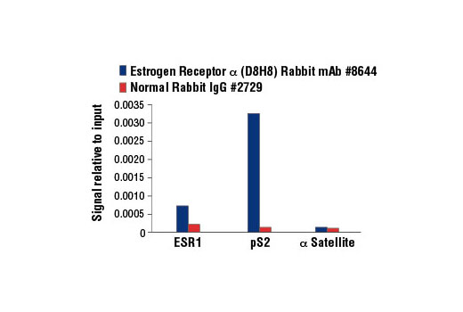 Estrogen Receptor α Activation Antibody Sampler Kit - 1 Kit