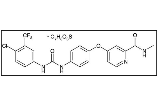 Sorafenib - 10 mg