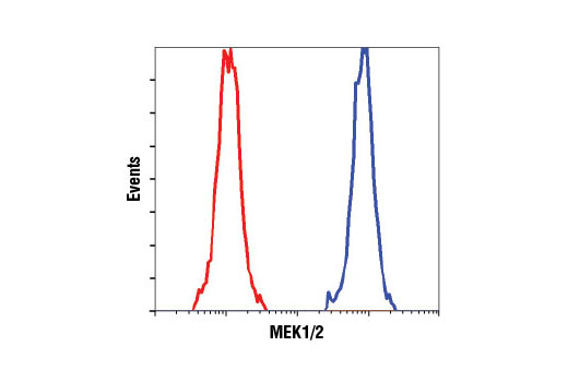 PhosphoPlus® MEK1/2 (Ser217/Ser221) Antibody Duet - 1 Kit