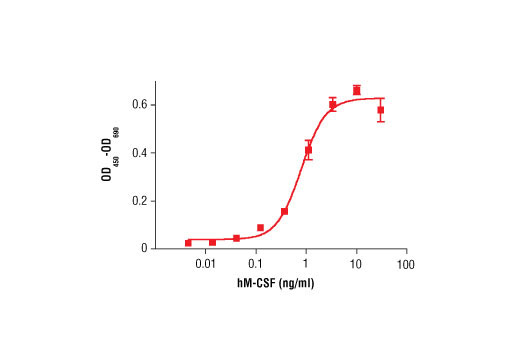 Human CSF-1/M-CSF Recombinant Protein - 5 ug