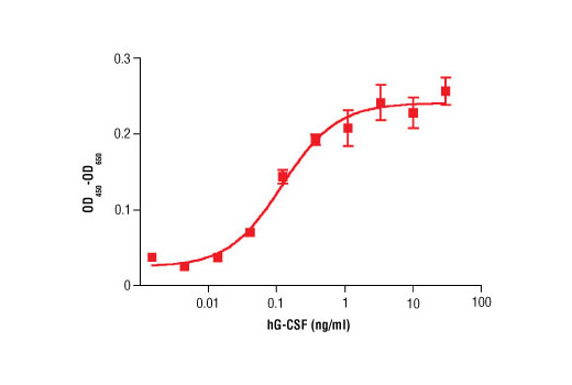 Human Granulocyte Colony Stimulating Factor (hG-CSF)_8930SC - 10 ug