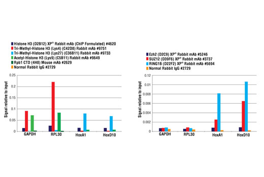 SimpleChIP® Plus Enzymatic Chromatin IP Kit (Agarose Beads) - 1 Kit