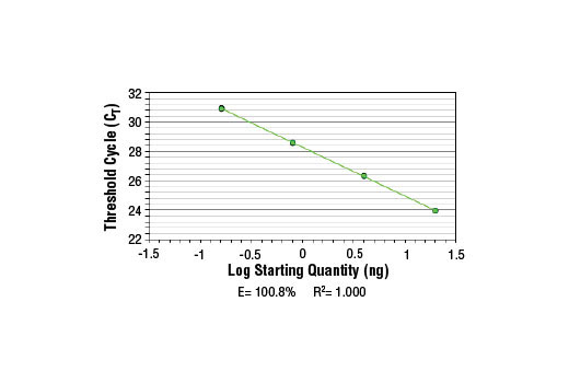 SimpleChIP® Human MS4A7 Promoter Primers - 500 ul