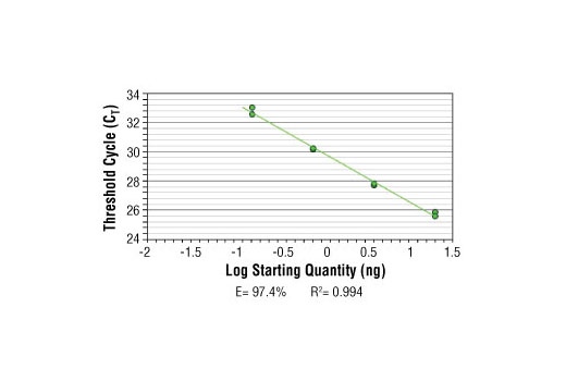 SimpleChIP® Human PRF1 Promoter Primers - 500 ul