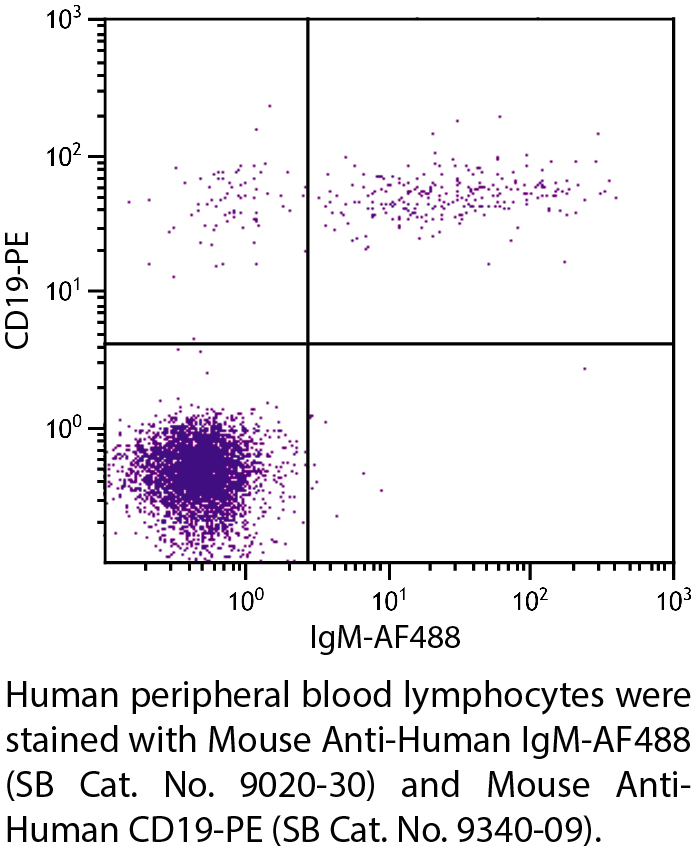 Mouse Anti-Human IgM-AF488 - 0.1 mg