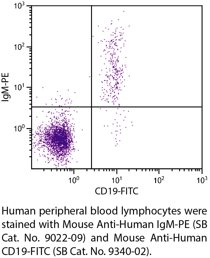 Mouse Anti-Human IgM-PE - 0.1 mg