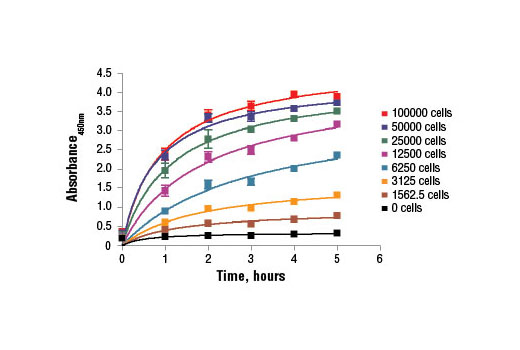 XTT Cell Viability Kit - 1 Kit