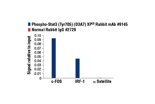 PhosphoPlus® Stat3 (Tyr705) Antibody Duet - 1 Kit