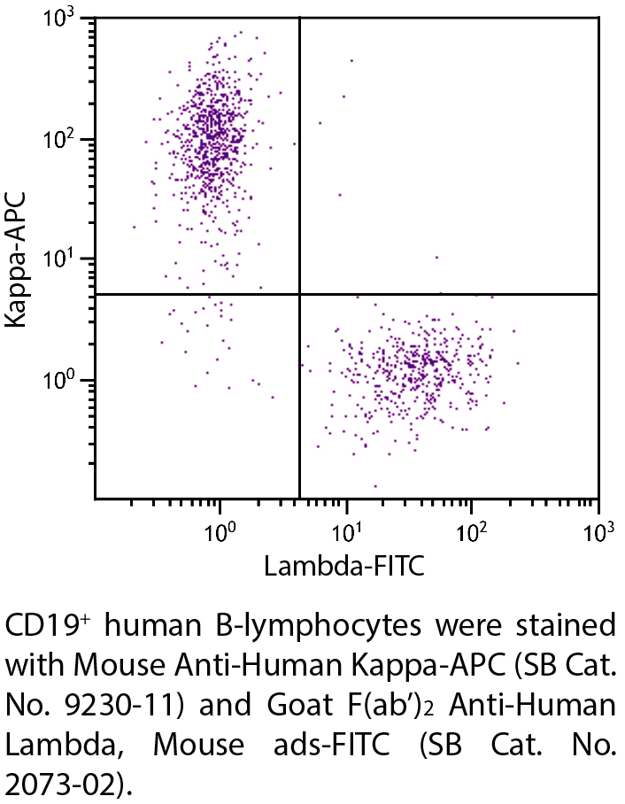 Mouse Anti-Human Kappa-APC - 0.1 mg