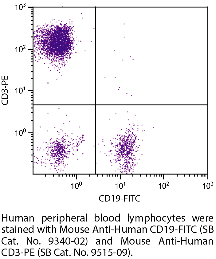 Mouse Anti-Human CD19-FITC - 100 tests