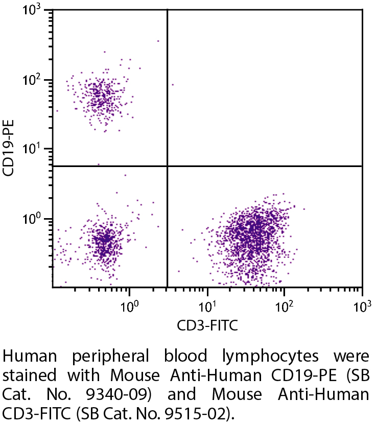 Mouse Anti-Human CD19-PE - 100 tests