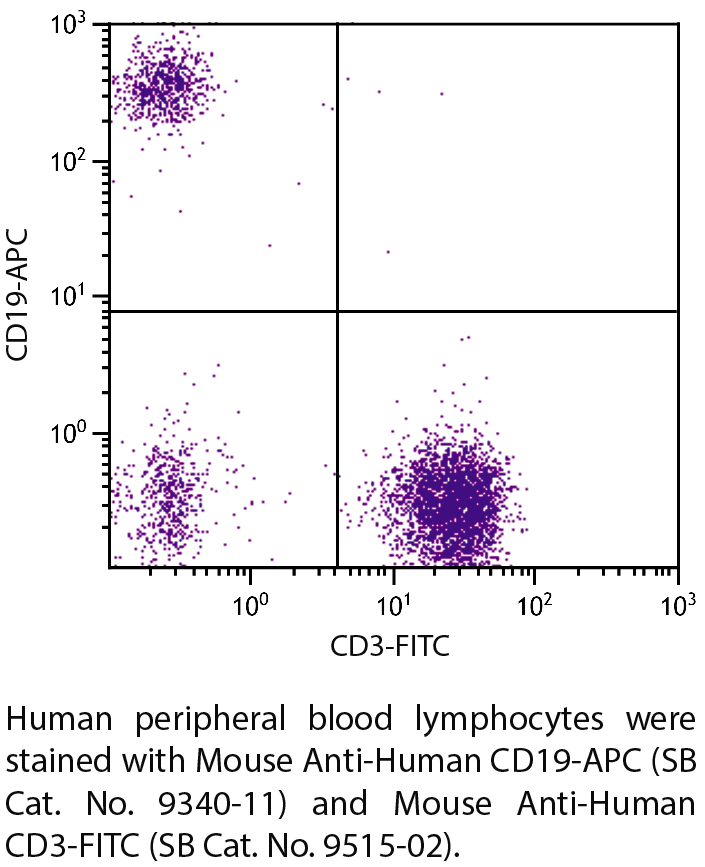 Mouse Anti-Human CD19-APC - 100 tests