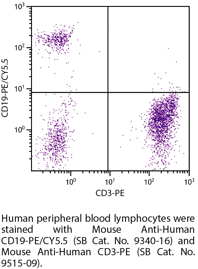 Mouse Anti-Human CD19-PE/CY5.5 - 100 tests