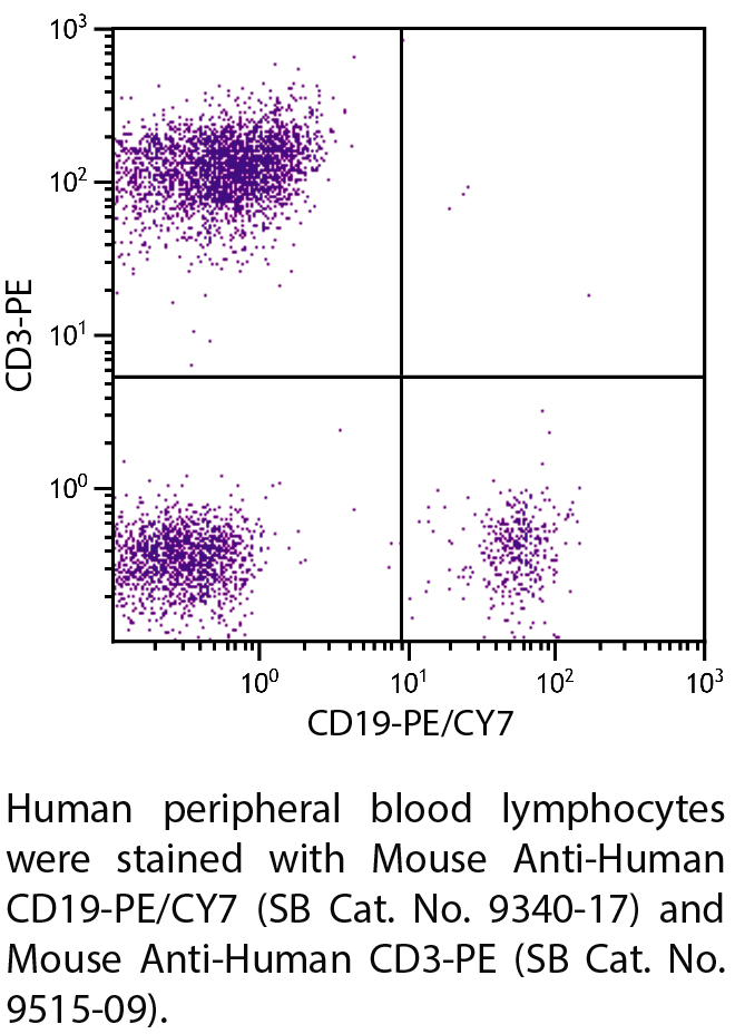 Mouse Anti-Human CD19-PE/CY7 - 100 tests