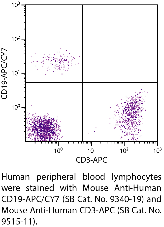 Mouse Anti-Human CD19-APC/CY7 - 100 tests