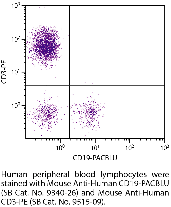 Mouse Anti-Human CD19-PACBLU - 100 tests