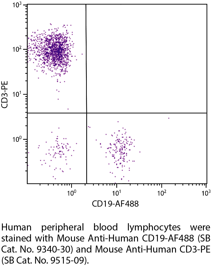 Mouse Anti-Human CD19-AF488 - 100 tests