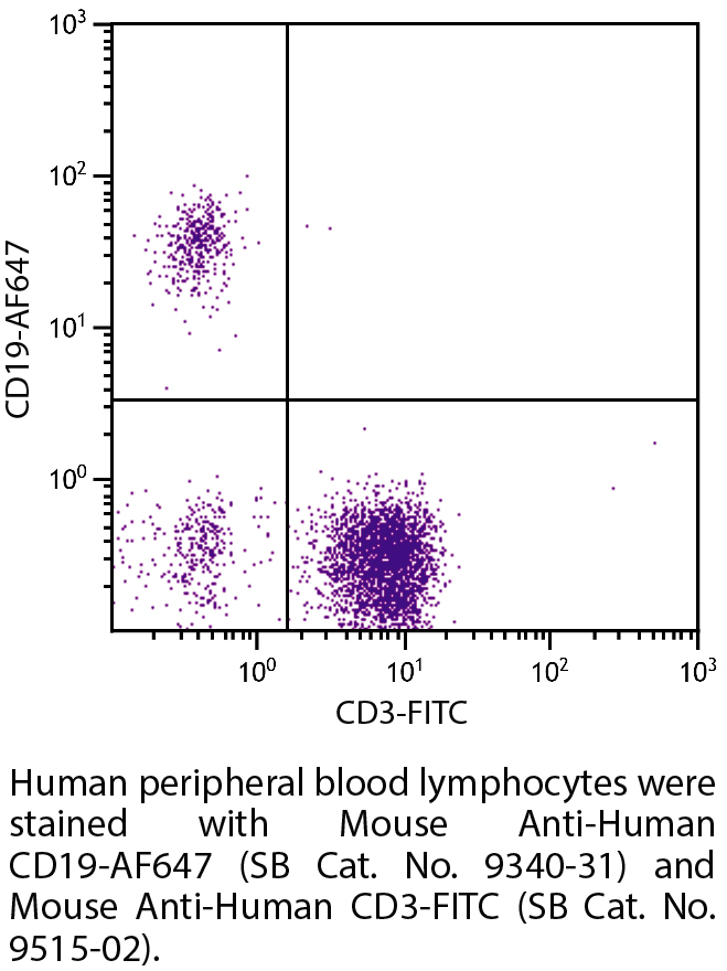 Mouse Anti-Human CD19-AF647 - 100 tests