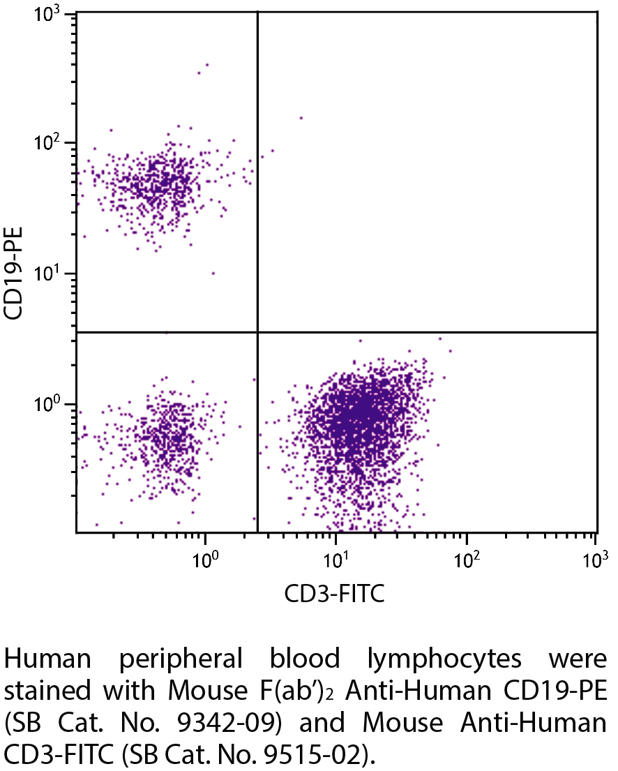 Mouse F(ab')2 Anti-Human CD19-PE - 100 tests