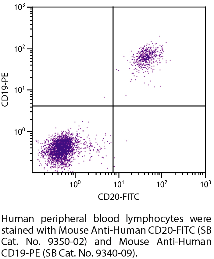 Mouse Anti-Human CD20-FITC - 100 tests