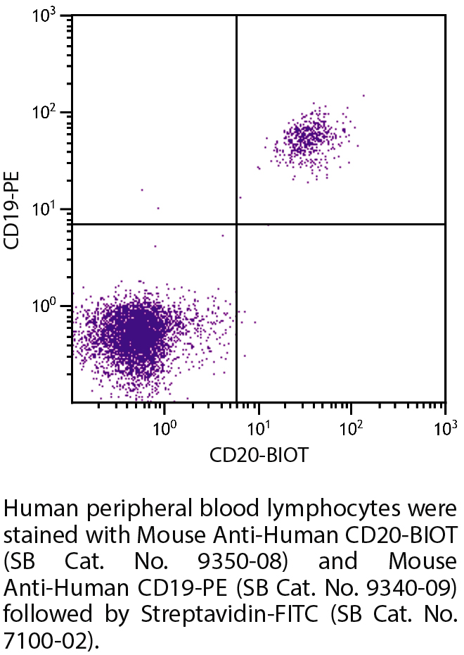 Mouse Anti-Human CD20-BIOT - 100 tests