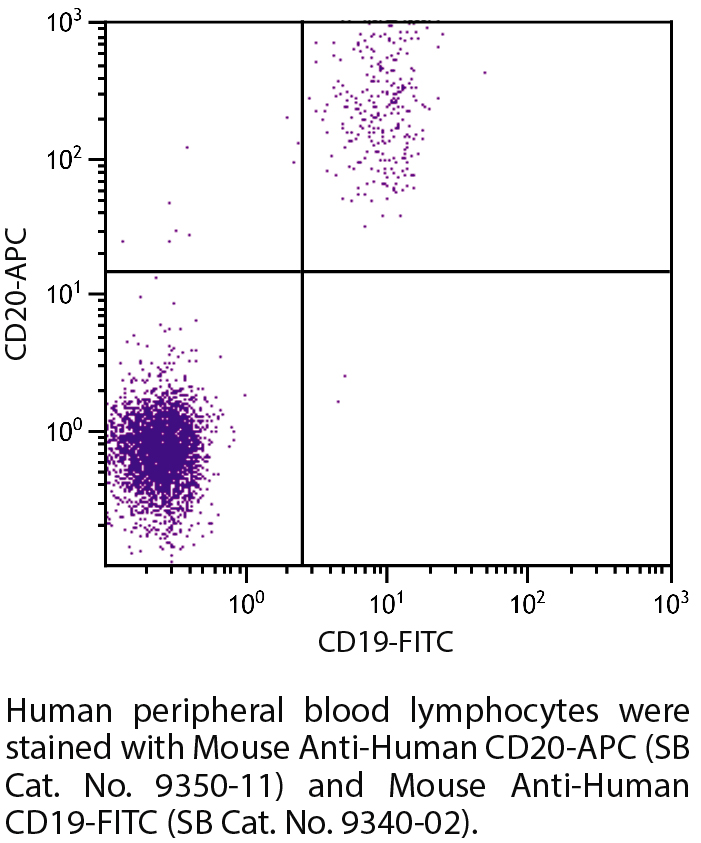 Mouse Anti-Human CD20-APC - 25 tests