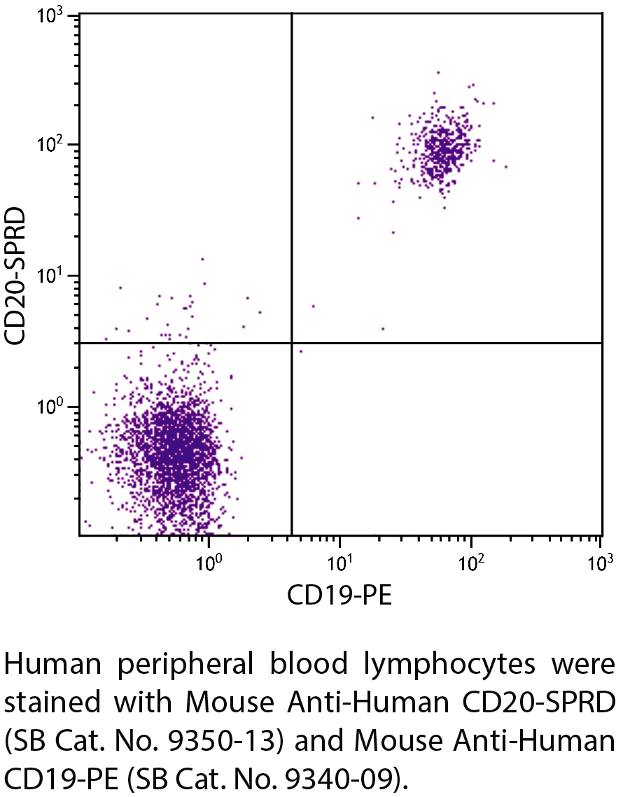 Mouse Anti-Human CD20-SPRD - 100 tests