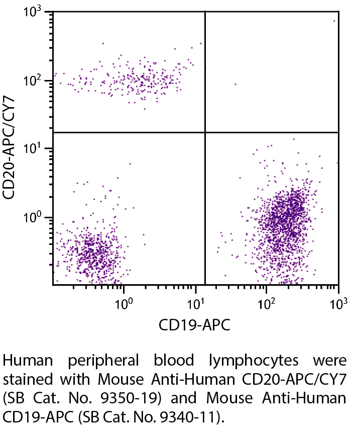 Mouse Anti-Human CD20-APC/CY7 - 100 tests