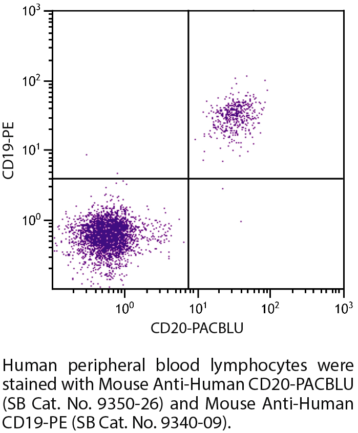 Mouse Anti-Human CD20-PACBLU - 100 tests