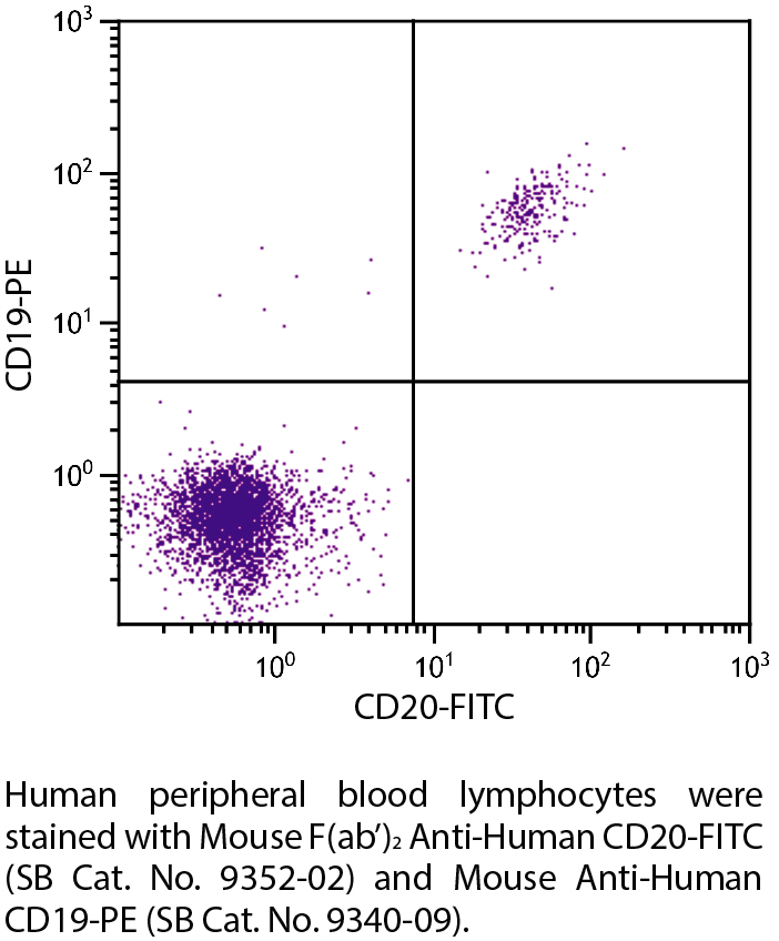 Mouse F(ab')2 Anti-Human CD20-FITC - 100 tests