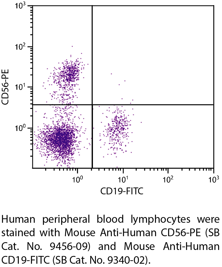 Mouse Anti-Human CD56-PE - 100 tests