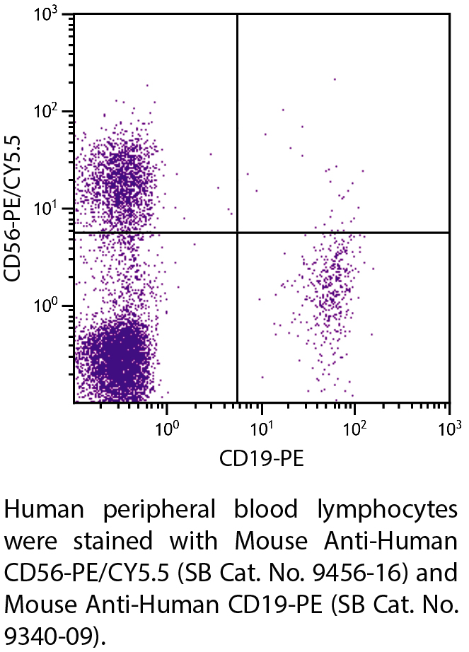 Mouse Anti-Human CD56-PE/CY5.5 - 100 tests